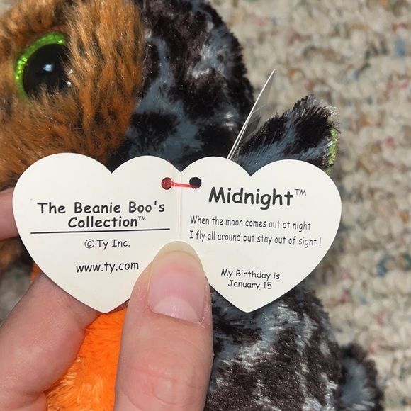 Owl Beanie Boo: MIDNIGHT - Picture 3 of 3